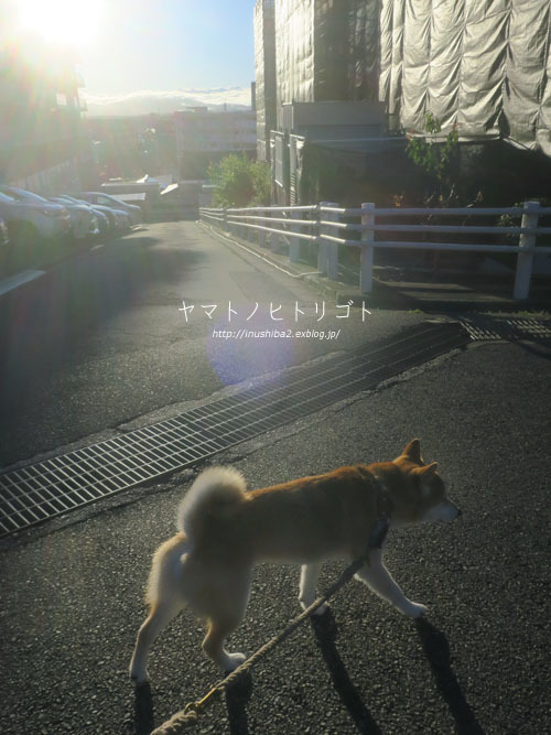 カオナシ_e0394031_06274637.jpg
