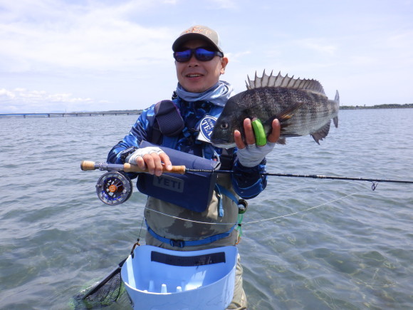 浜名湖クロダイサイトフィッシングゲームの乗り合い募集。_f0055244_19281043.jpg