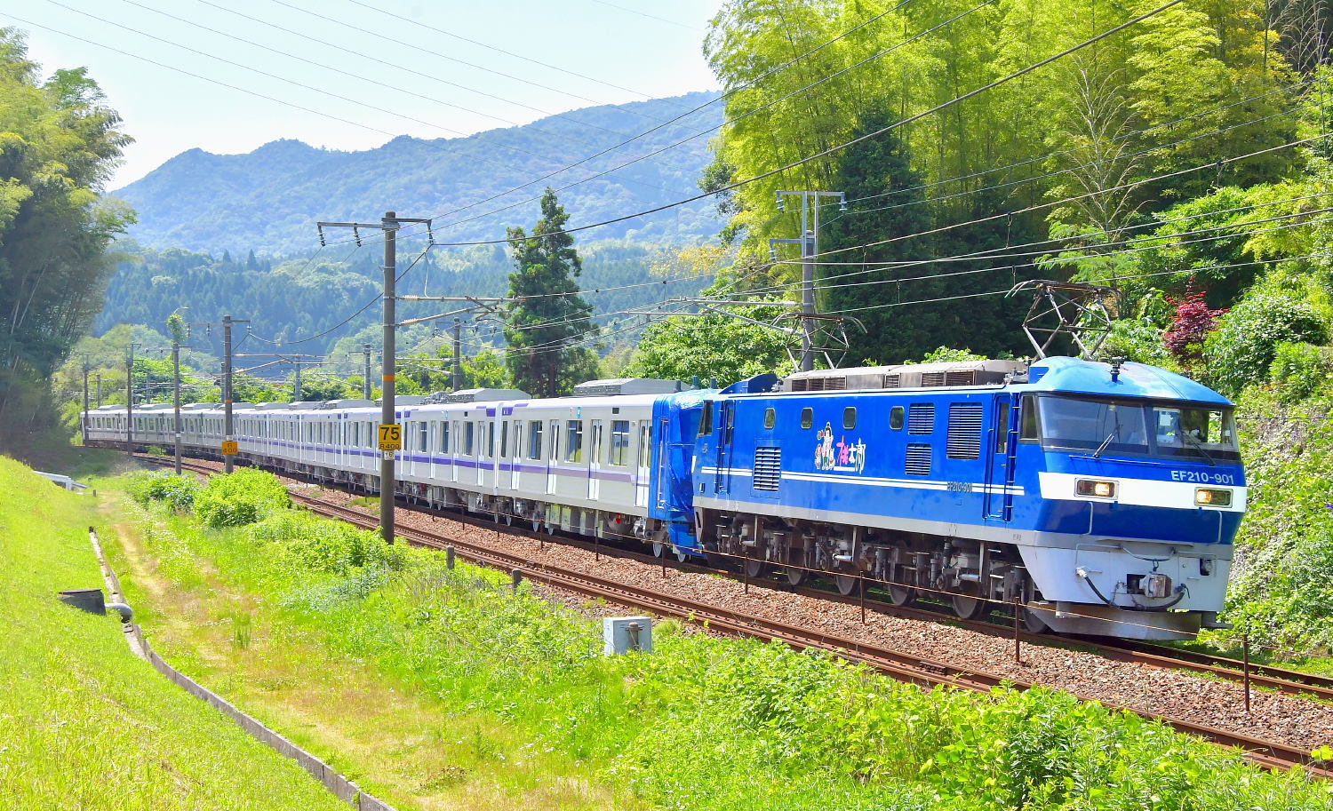 線路 約50cm ogp-gm-2504.jpg