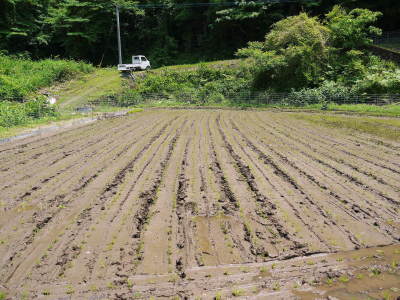 米作りの挑戦(2022)　その１：本日、田植えを終えました！米作りに取り組むわけとこの地の環境_a0254656_20022619.jpg