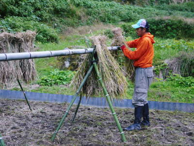 米作りの挑戦(2022)　その１：本日、田植えを終えました！米作りに取り組むわけとこの地の環境_a0254656_20272612.jpg