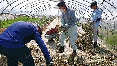 夢のような施設外就労 *:.。.(❁´ω`❁).。.:*_d0176392_18453674.jpg
