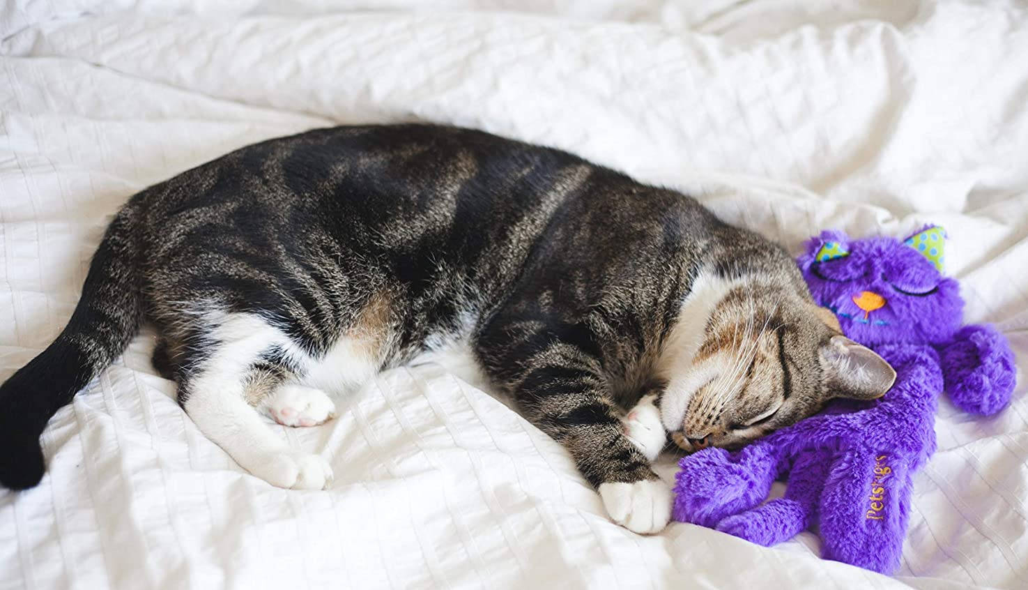 飼い主も癒やす「猫用の枕」 - Petstages Cat Pillow_b0007805_03515694.jpg