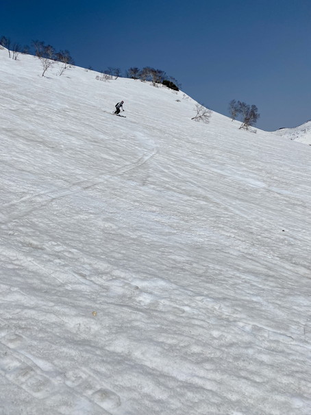 2022年４月 『春山スキー、山親爺』　April 2022 \"Ski in the Spring Mountains with Wild Bear\"_c0219616_12473481.jpg