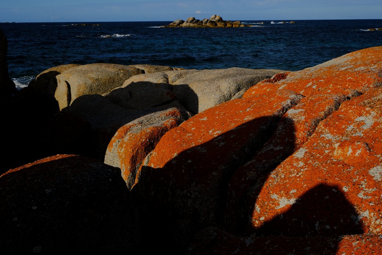 炎の海岸　Bay of Fire ,Tasmania  撮影ツアーのご案内_f0050534_10482890.jpg
