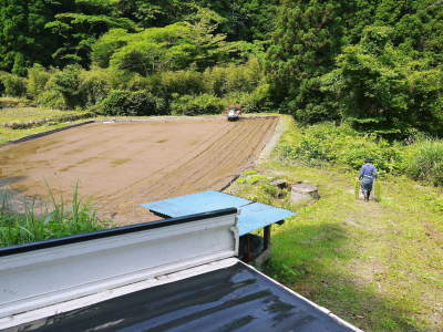 米作りの挑戦(2022)　その2：種まきから苗床での発芽、成長、そして田植えまで_a0254656_19462022.jpg