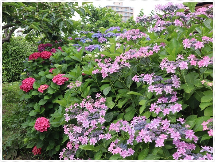 特に何もない1日は、特にブログネタもない(*⌒∇⌒*)テヘ♪_b0175688_19481204.jpg