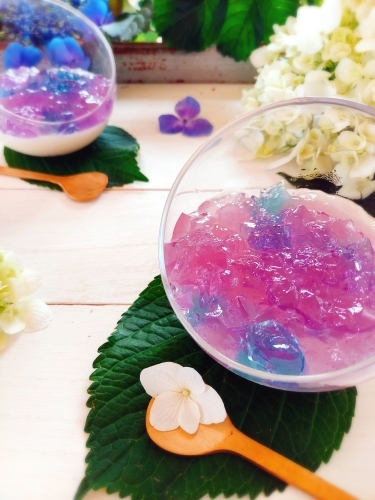 紫陽花の季節の紫陽花ゼリー Mama Kotoのおいしいもの雑記帳