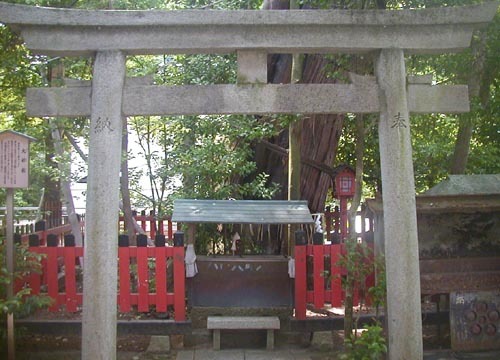 ●神社の造形―北野天満宮の大杉社、曲水庭園_d0053294_00144639.jpg