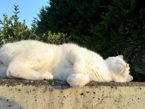 夏休み！！！_d0006400_00231816.jpg