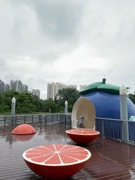不思議なフルーツに?浮かべつつ散歩@Sengkang Riverside Park_f0037404_21160917.jpg
