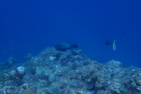 22.6.11 いいタイミングで_b0100730_20002759.jpg