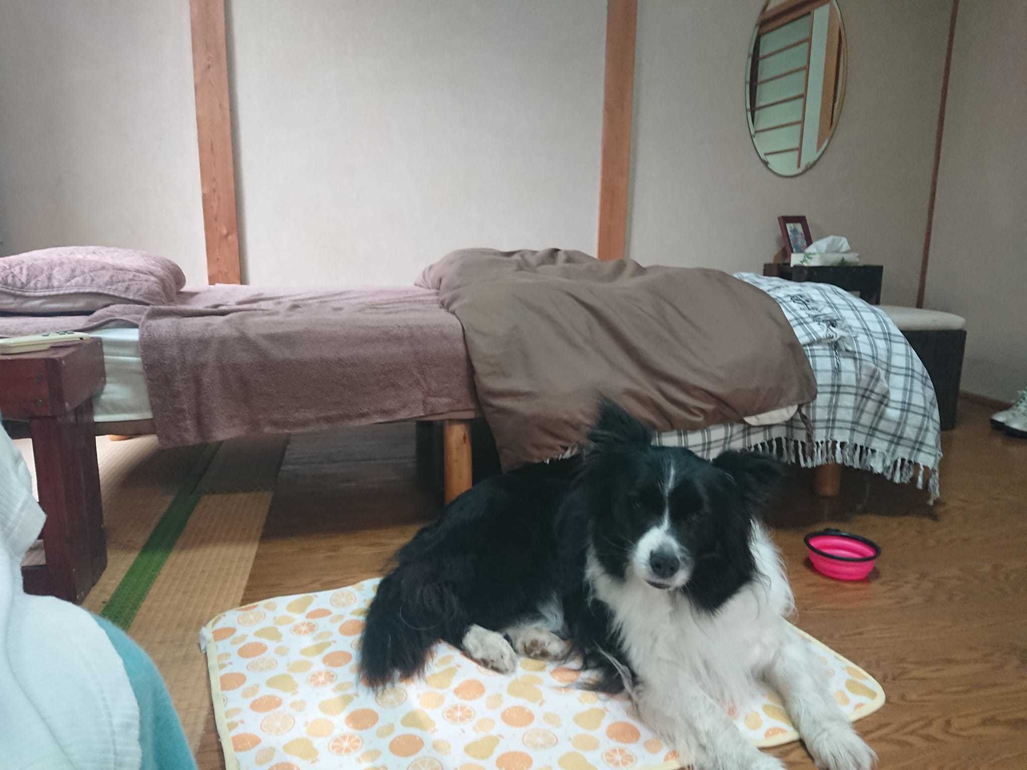 ペンションノアに行ってきました ①_a0286340_08571585.jpg