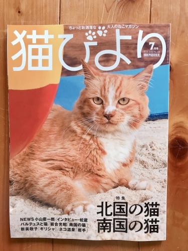 「猫びより」7月号絶賛発売中_f0054677_09395528.jpg