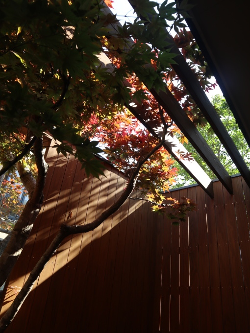 山口に行ったら住んでみたくなりました･････その４_b0331802_23110274.jpg