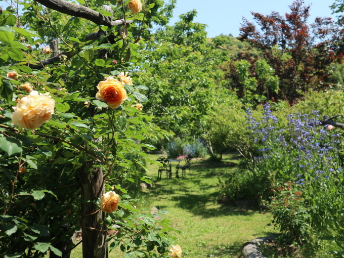 山口に行ったら住んでみたくなりました･････その４_b0331802_23133630.jpg