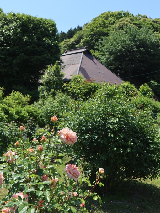 山口に行ったら住んでみたくなりました･････その４_b0331802_23135216.jpg