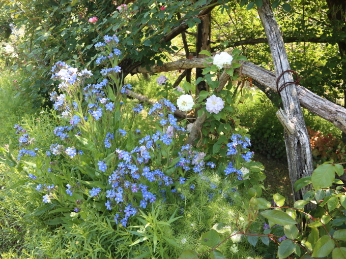 山口に行ったら住んでみたくなりました･････その４_b0331802_23143015.jpg