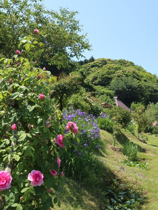 山口に行ったら住んでみたくなりました･････その４_b0331802_23145513.jpg
