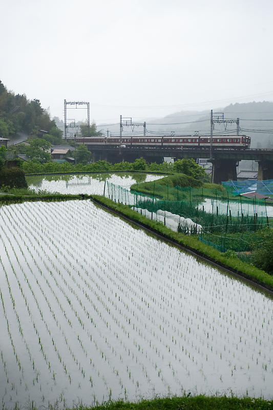 奈良遠征・近鉄鉄撮り_f0032011_16460127.jpg