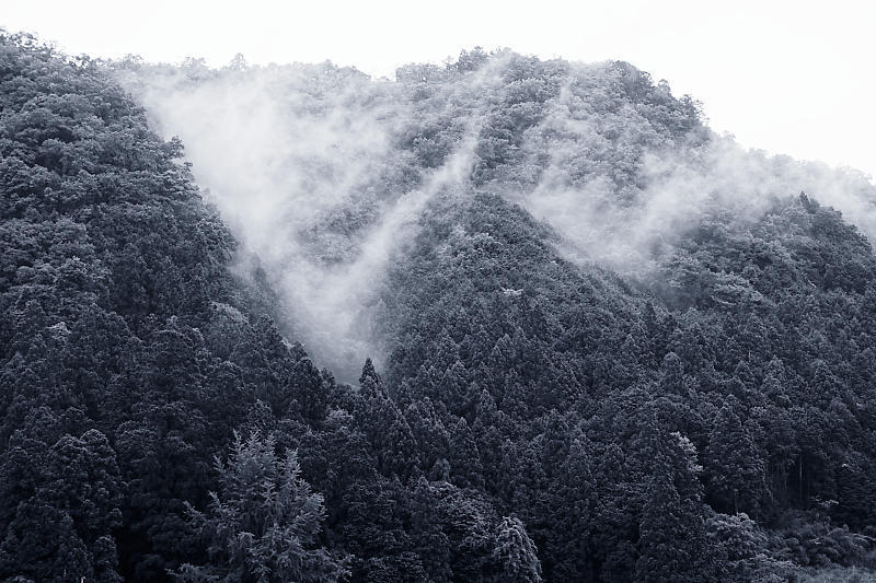 奈良遠征・近鉄鉄撮り_f0032011_16465901.jpg
