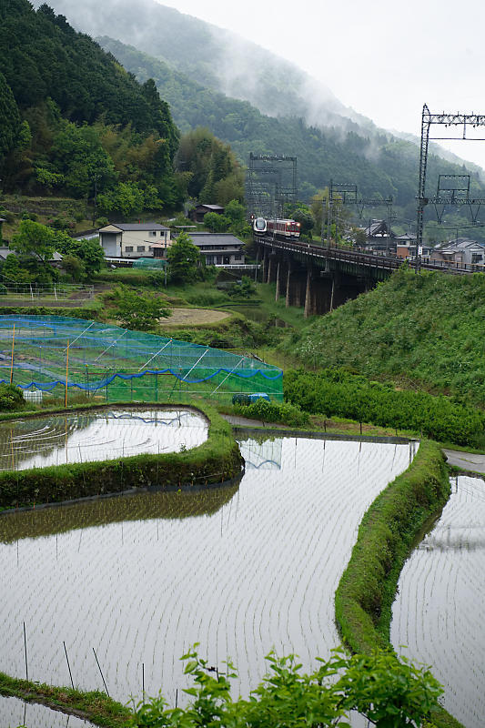 奈良遠征･近鉄鉄撮り_f0032011_16465903.jpg