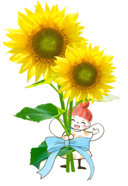 誕生花と妖精のアートカードをシリーズ化しま～す_d0377316_14171893.jpg