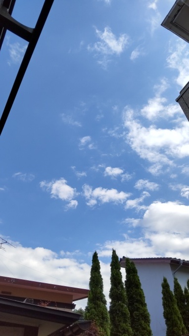 局地的豪雨_c0155326_15120634.jpg