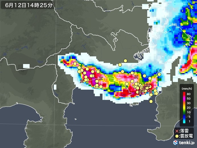 【午後2時雷雨】神奈川と千葉、東京は外れ_b0009849_14321208.jpeg