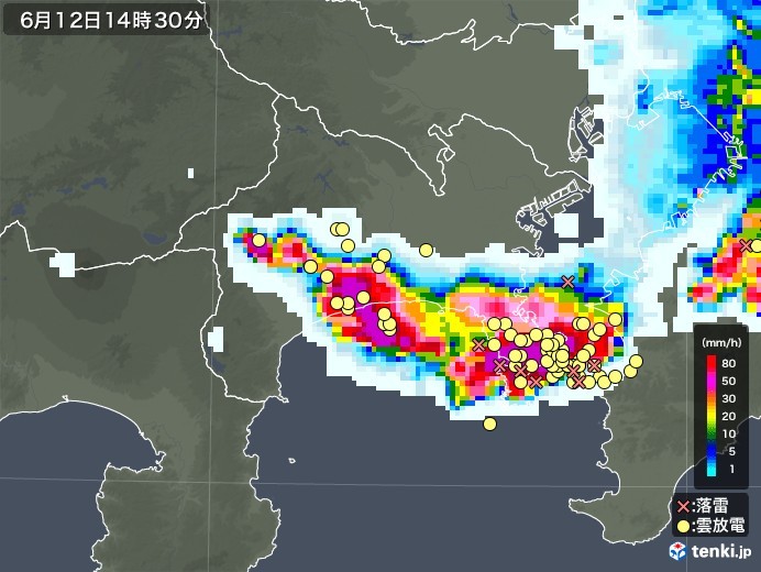 【午後2時雷雨】神奈川と千葉、東京は外れ_b0009849_14394842.jpeg