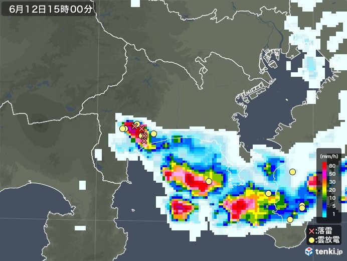 【午後2時雷雨】神奈川と千葉、東京は外れ_b0009849_15120692.jpeg
