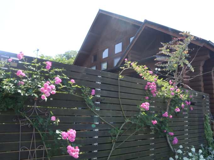 山口に行ったら住んでみたくなりました･････その５_b0331802_22003213.jpg