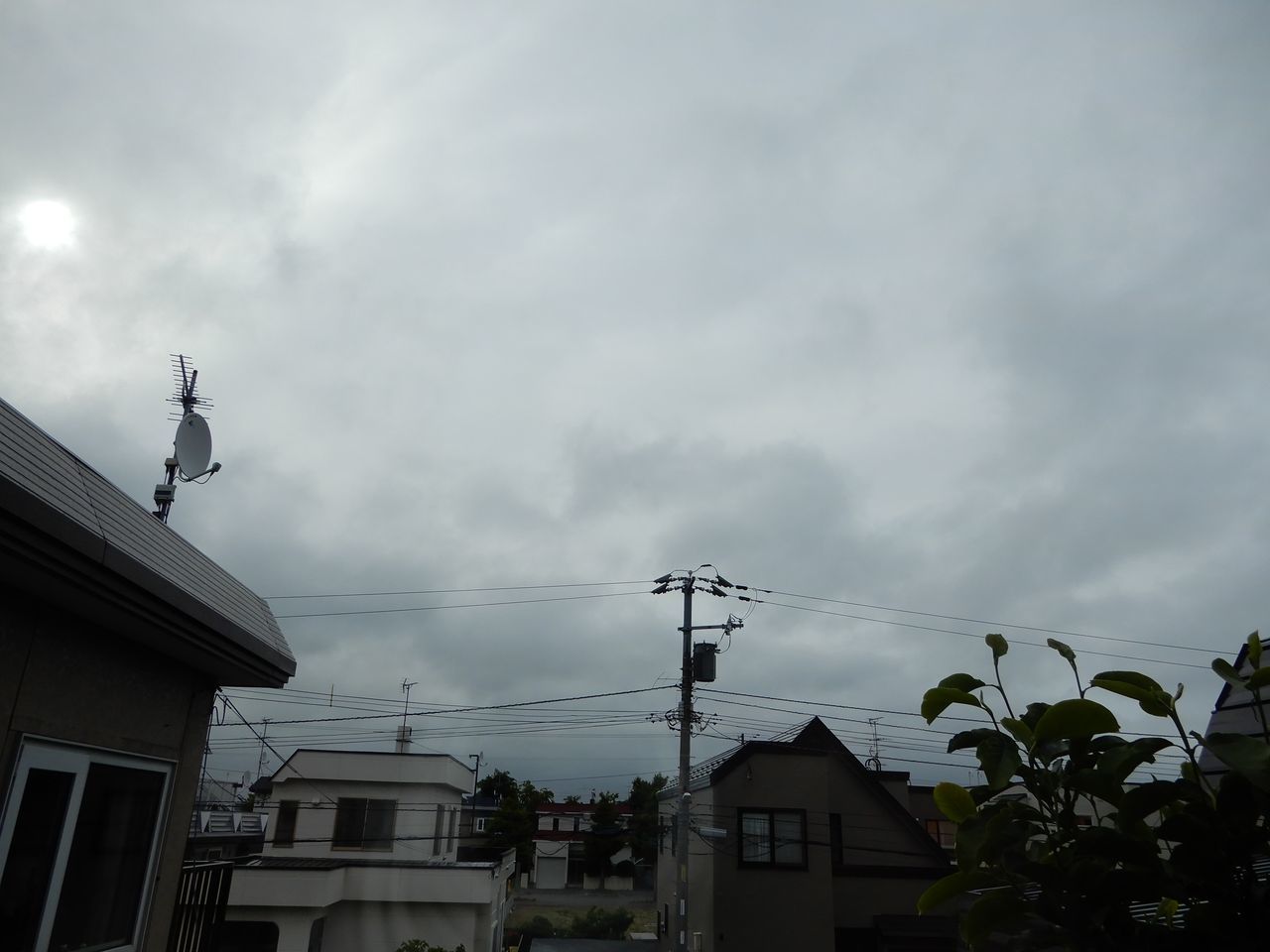 気温も上がり、天気も回復、いざ小樽へ_c0025115_23484725.jpg