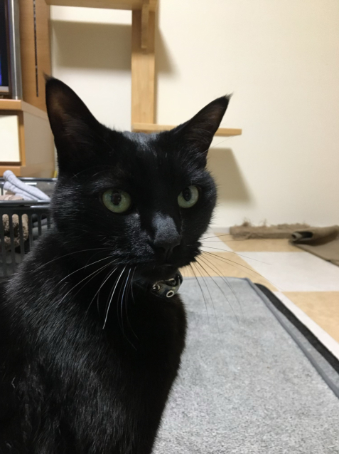 思いがけず_d0355333_21281282.jpg