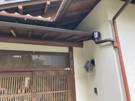 甲斐市 新茶の樋_b0242734_09484240.jpg