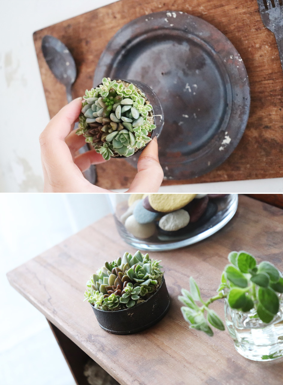 ☆ワークショップ特典☆「PAINT&BOTANICAL WORKSHOP」_d0351435_10083000.jpg