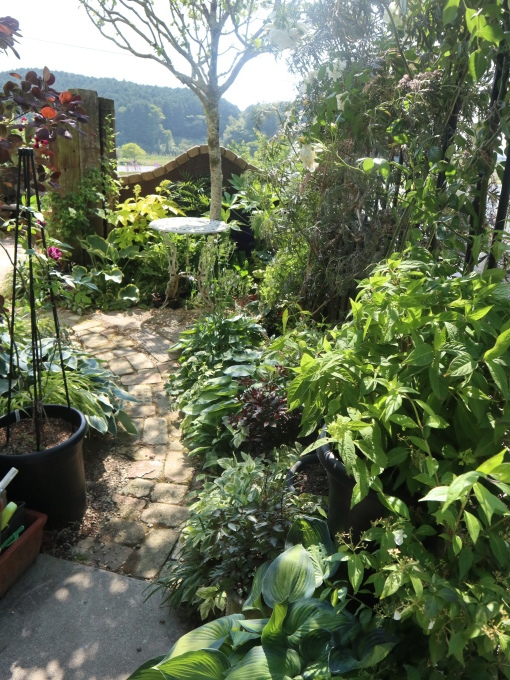 山口に行ったら住んでみたくなりました･････その６_b0331802_19110650.jpg