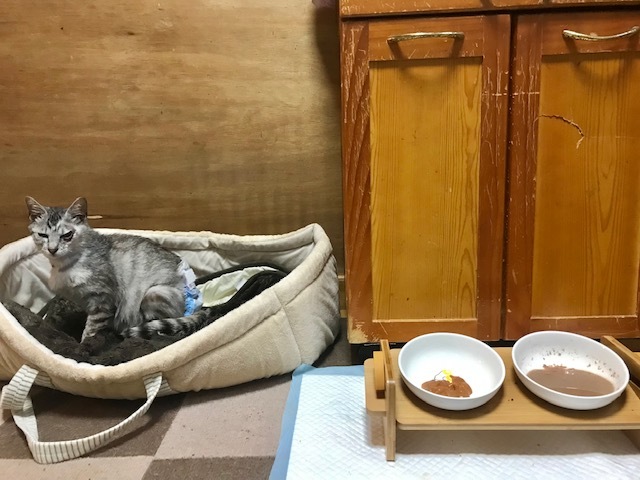 腹水が 青空 お日さま 笑顔