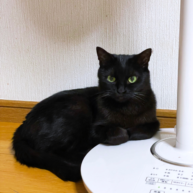 関西も梅雨入り_d0355333_21164289.jpg