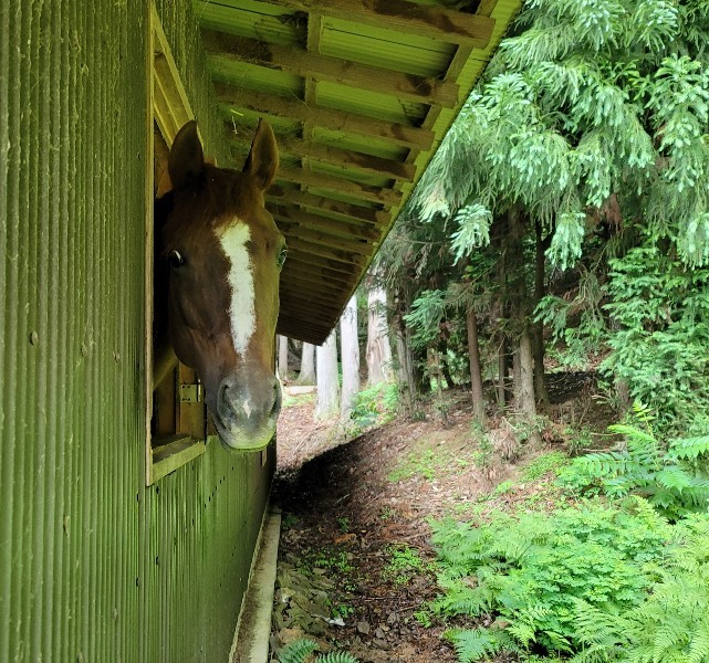 梅雨入りかな?_e0145441_19412390.jpg