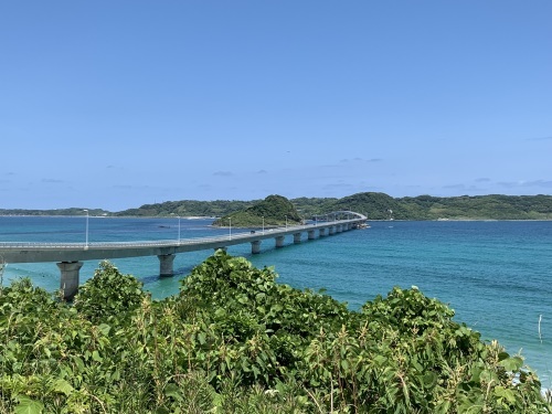 鎌倉の姉妹都市 萩へ行く 2._f0045052_20471666.jpeg