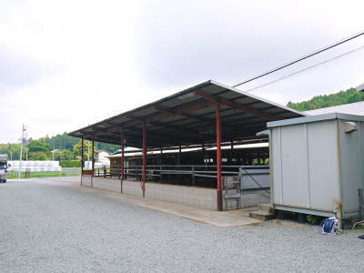 毎月1回出荷の熊本県産黒毛和牛100％のハンバーグステーキ！6月25日出荷分まもなく締め切り！早い者勝ち_a0254656_17235006.jpg