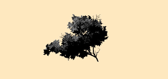 1分で木を描く_a0342172_20311529.jpg
