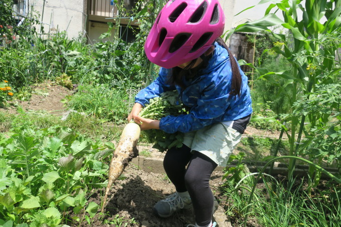 これならどこでも行けるわ。_e0149587_15175857.jpg
