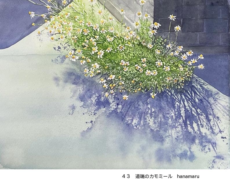 「2022赤坂孝史教室オンライン展」No41〜50_f0253789_15013319.jpg