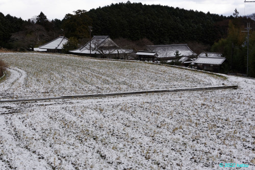 雪の橋本院_e0366896_20385307.jpg