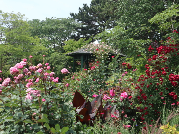 次の日は静岡と愛知よん♪･････その１_b0331802_20502999.jpg