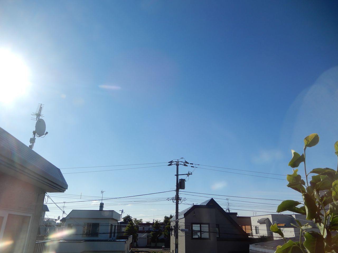 暖かくならないだけではなく暴風が吹く_c0025115_21291501.jpg