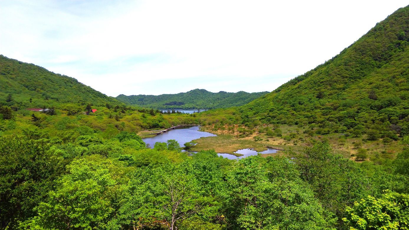 赤城山レンゲツツジの白樺牧場と覚満渕アラカルト_a0031821_17014667.jpg