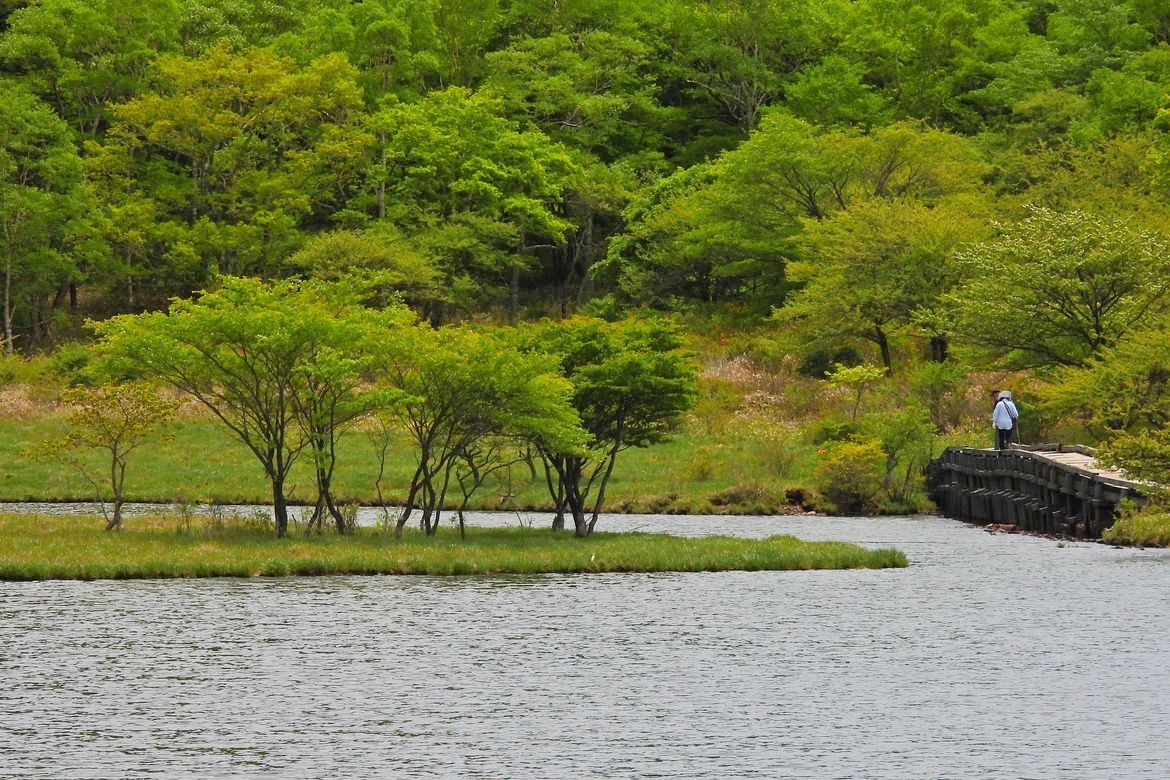 赤城山レンゲツツジの白樺牧場と覚満渕アラカルト_a0031821_17072037.jpg